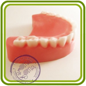 Зубы ровные (челюсть) - 3D силиконовая форма для мыла, свечей, гипса, шоколада и пр.