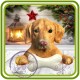 Лабрадор, Далматинец с косточкой, собака - Авторская 2D силиконовая форма для мыла, свечей, шоколада, гипса и пр.