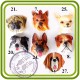 МИКС Собаки (головы) - 2D Объемная силиконовая форма для мыла, свечей, гипса, шоколада и пр.