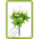 Основание для букета на 7 голов, с листочками пиона, хризантемы. Декор искуств. зелень.