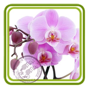 Орхидея - отдушка парфюмерно-косметическая 