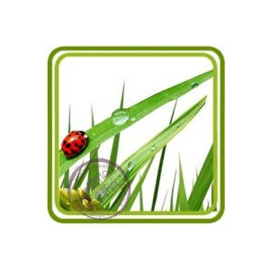 Свежескошенная трава - отдушка парфюмерно-косметическая