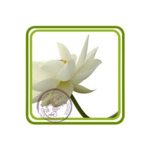 Цветы лотоса - отдушка парфюмерно-косметическая 