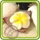 Скорлупа кокоса (ложемент) - Объемная силиконовая форма для мыла