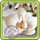 Орхидея малая - 3D силиконовая форма для мыла, свечей, шоколада, гипса и пр.