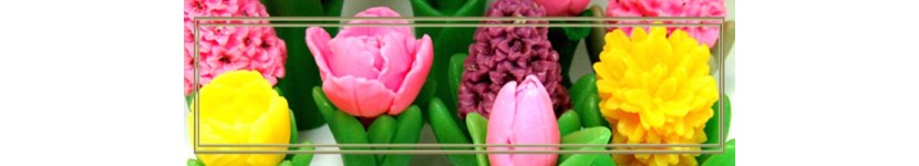8 марта. Цветы/ Растения. Цветочные композиции.  (гл.а)